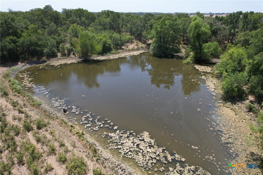 152.23 acres in Milam County - photo 4