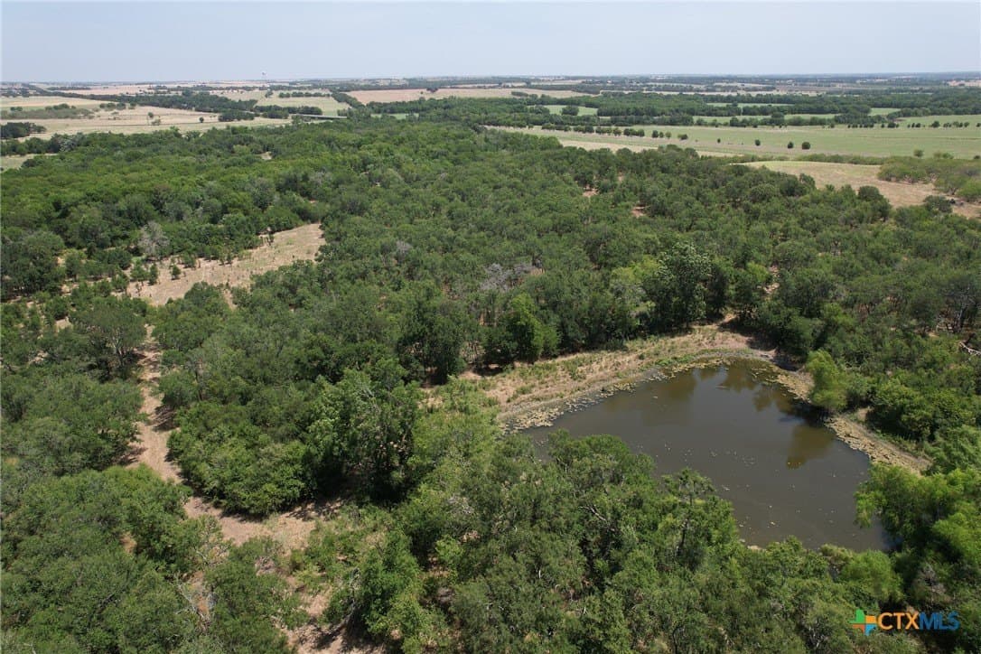 152.23 acres in Milam County - photo 8