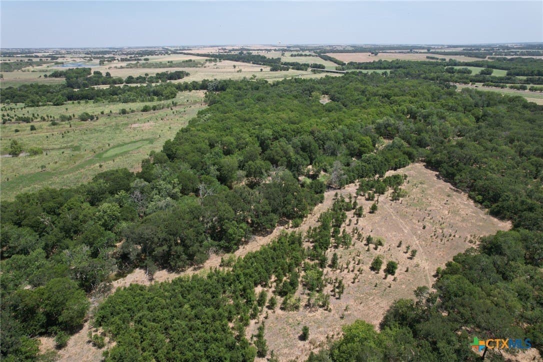 152.23 acres in Milam County - photo 9