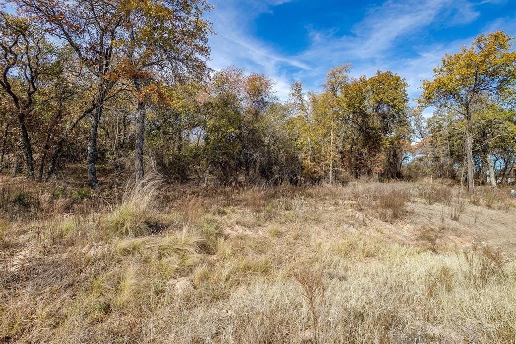 2 acres in Parker County - photo 7