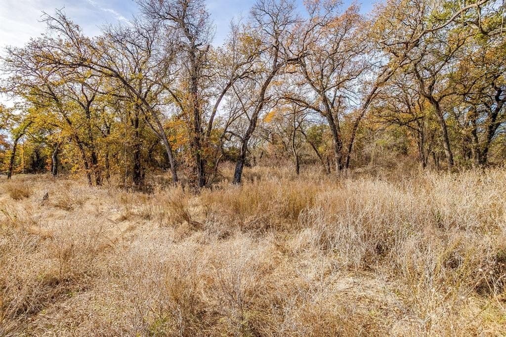 2 acres in Parker County - photo 9