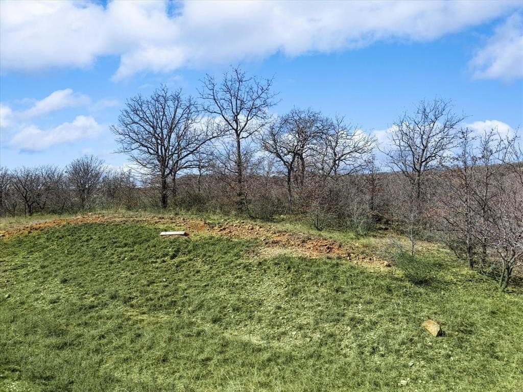 1.01 acres in Wise County - photo 3