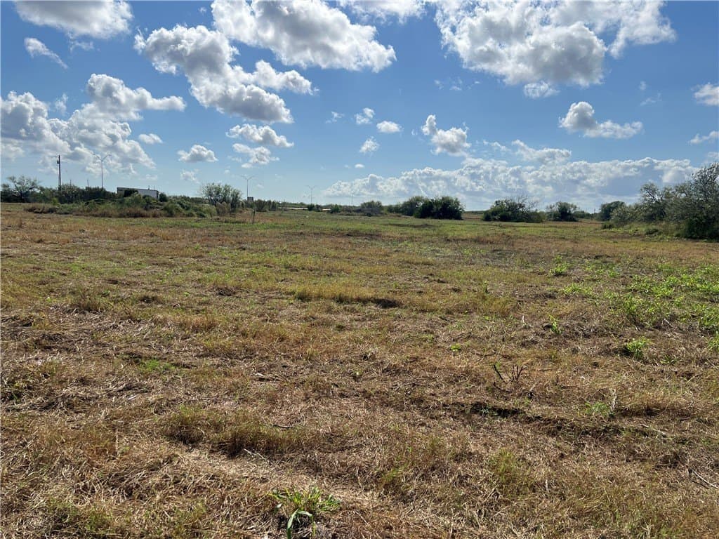 5.12 acres in San Patricio County - photo 5