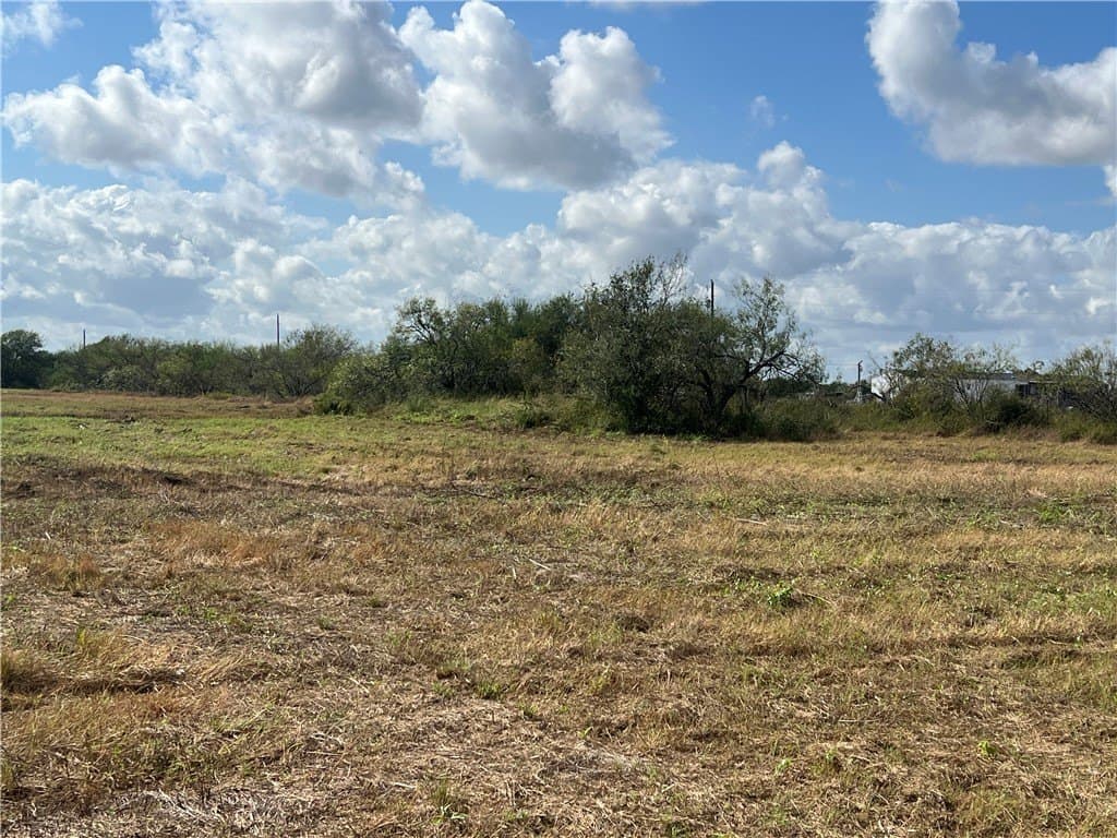 5.12 acres in San Patricio County - photo 2
