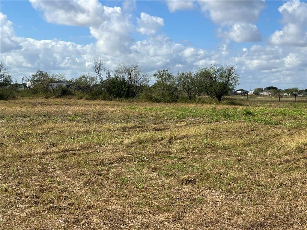 5.12 acres in San Patricio County - photo 4