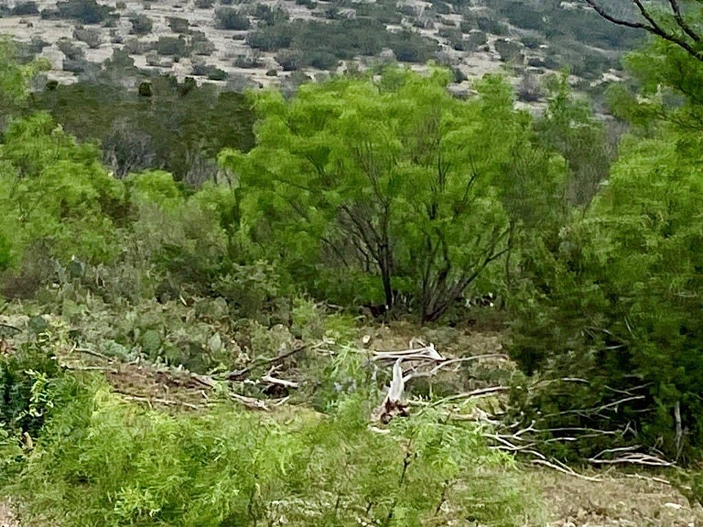 327.44 acres in Val Verde County - photo 5