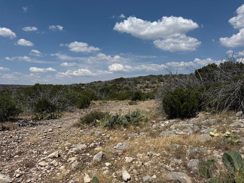 327.44 acres in Val Verde County - photo 21