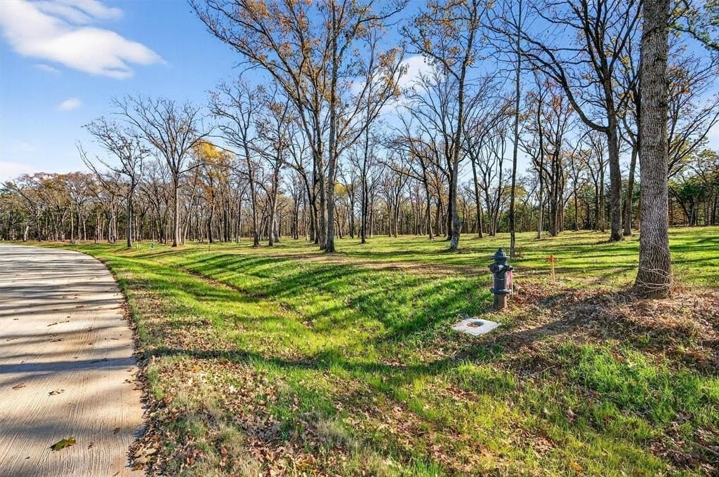 1.1 acres in Grayson County - photo 9