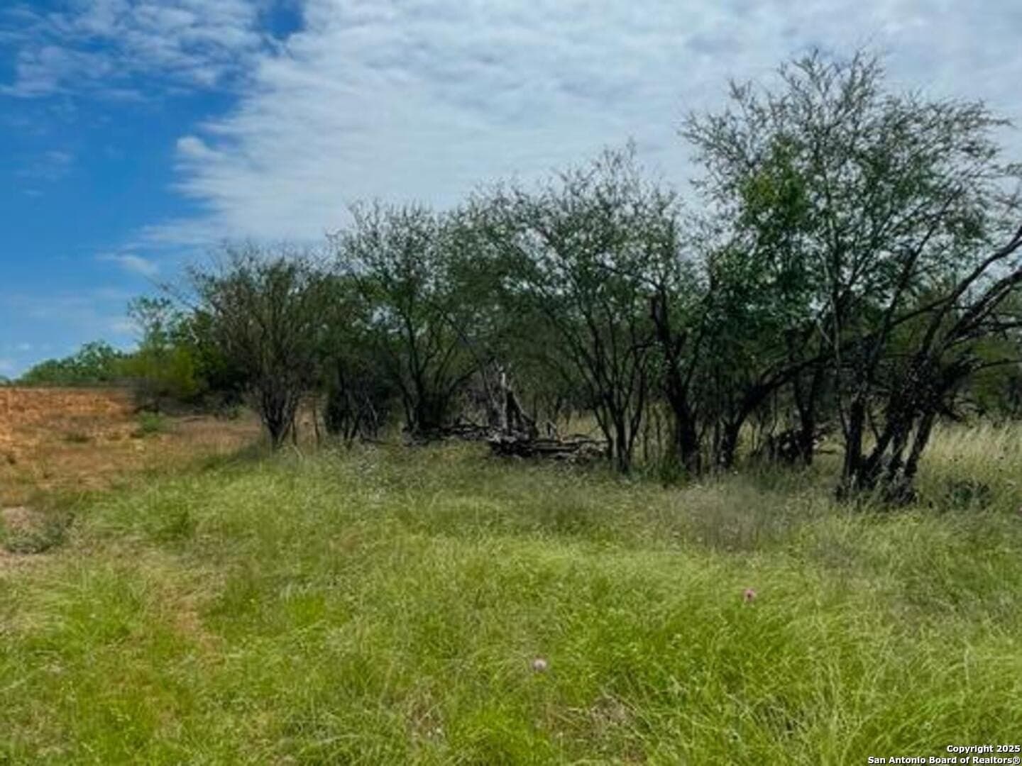 10.01 acres in Atascosa County - photo 3