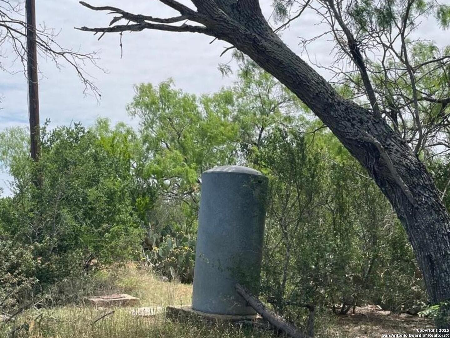 10.01 acres in Atascosa County - photo 5