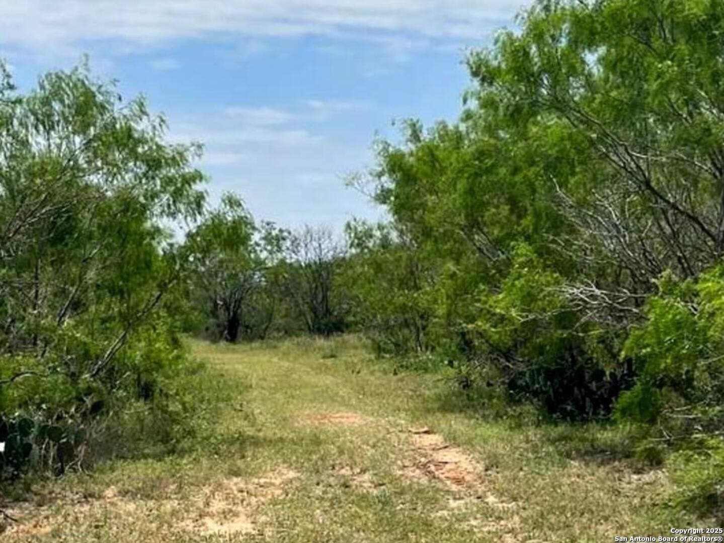 10.01 acres in Atascosa County - photo 2