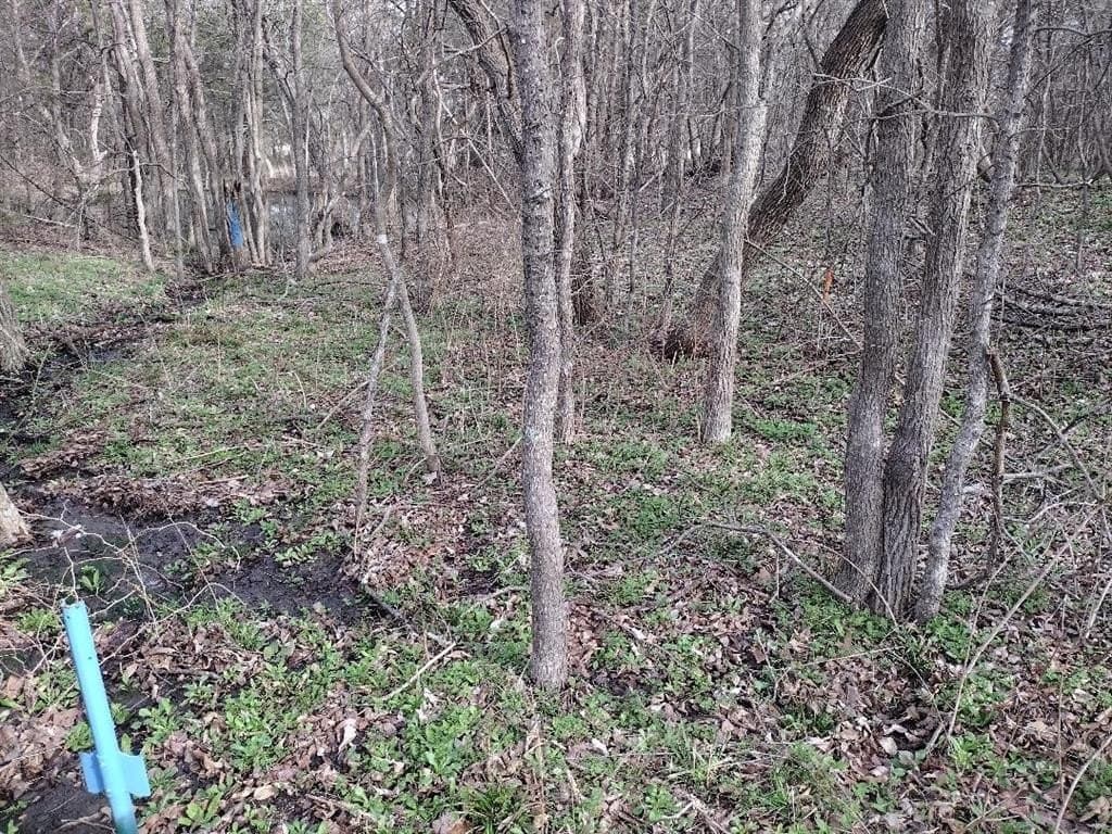 1.25 acres in Hunt County - photo 23