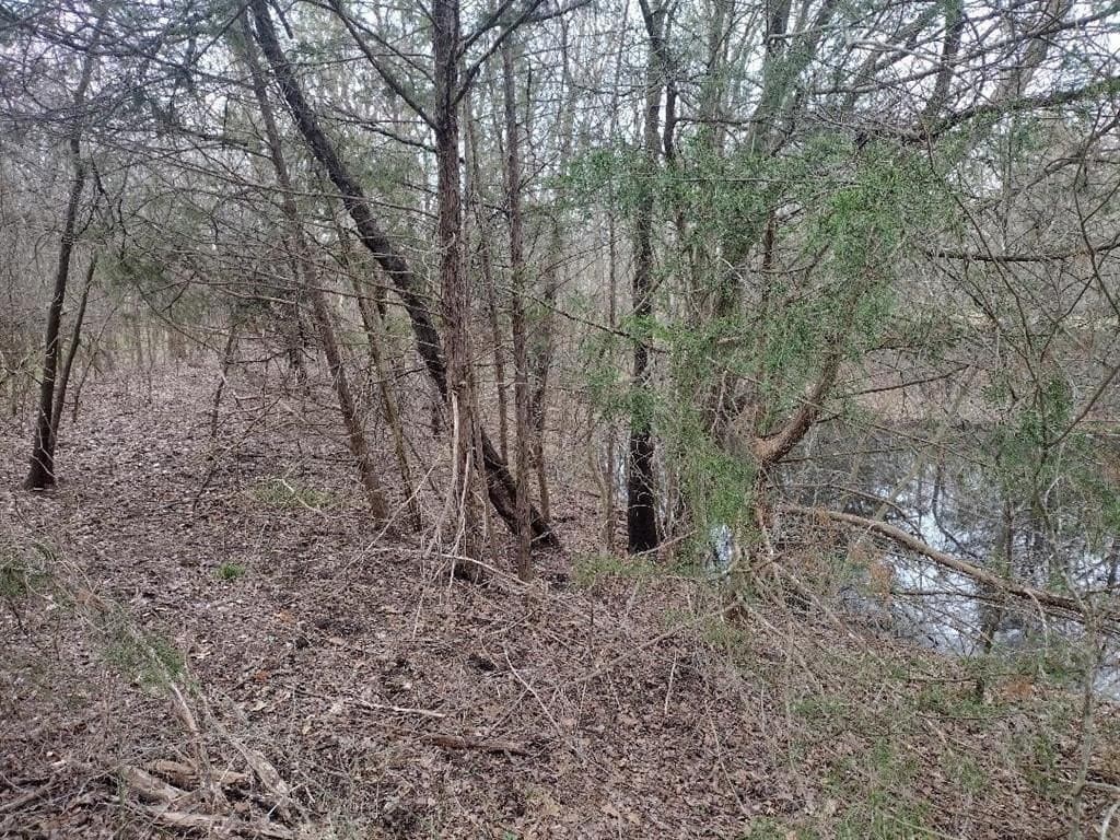 1.25 acres in Hunt County - photo 15