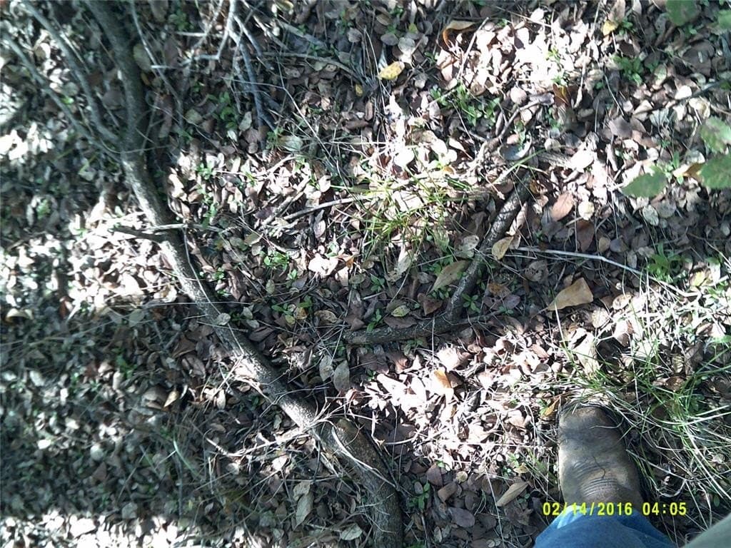 1.25 acres in Hunt County - photo 24
