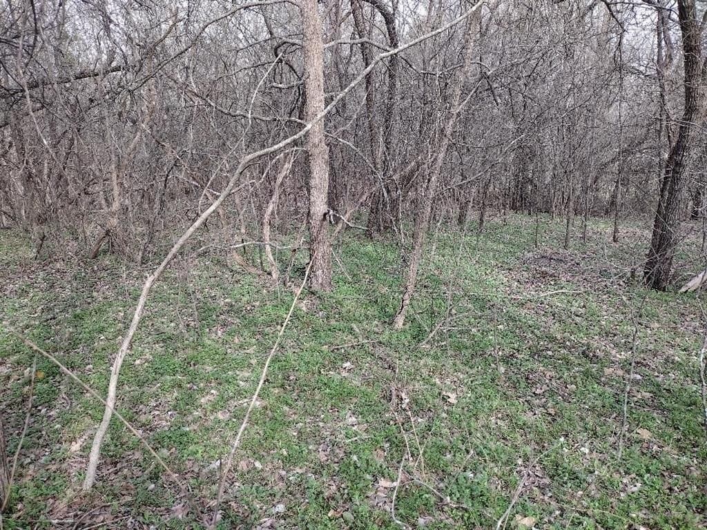 1.25 acres in Hunt County - photo 19