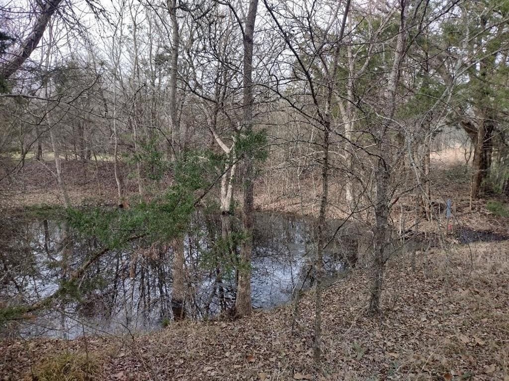 1.25 acres in Hunt County - photo 14