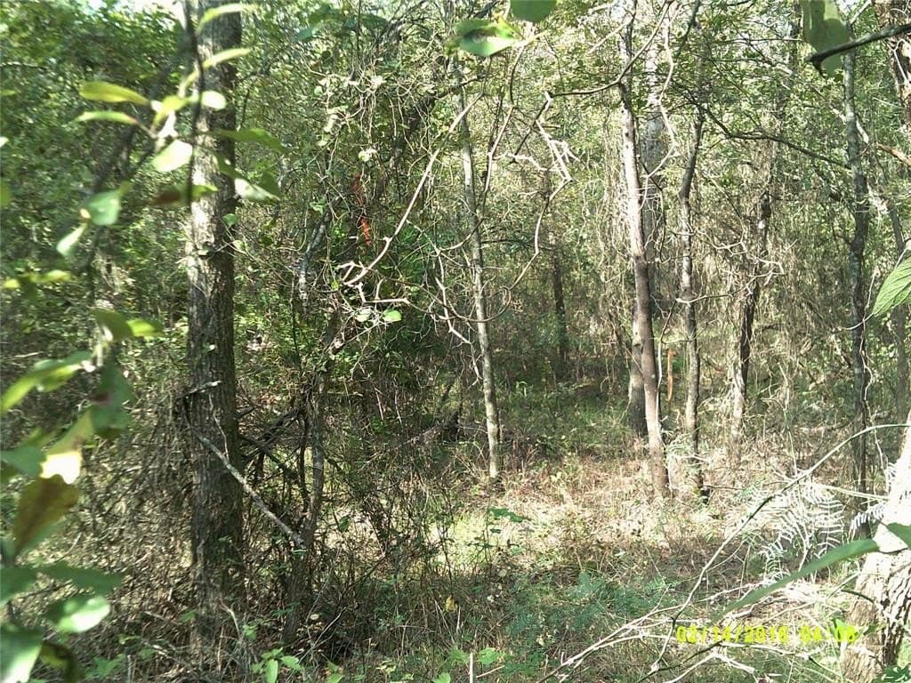 1.25 acres in Hunt County - photo 22