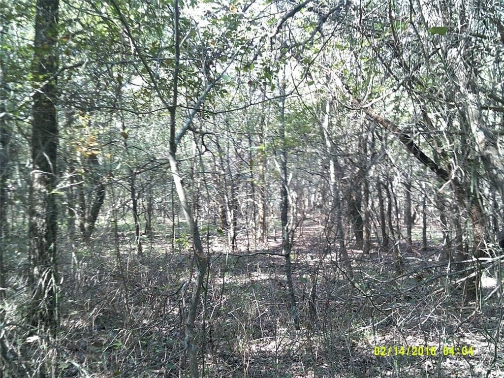 1.25 acres in Hunt County - photo 18