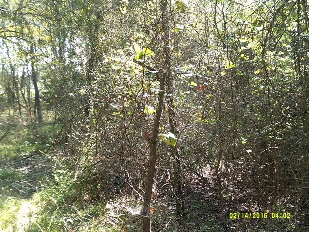 1.25 acres in Hunt County - photo 16