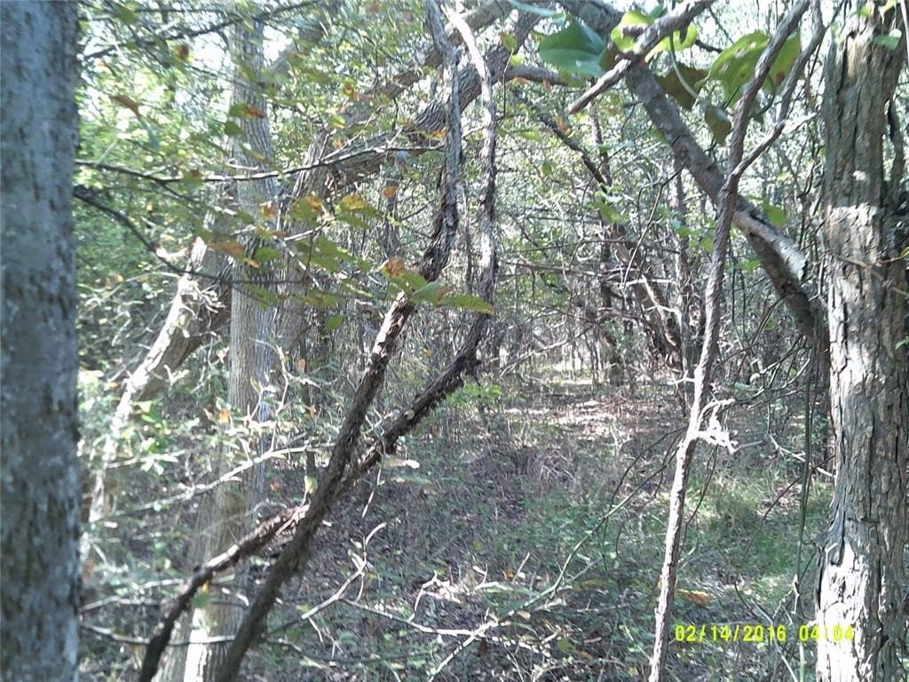 1.25 acres in Hunt County - photo 17