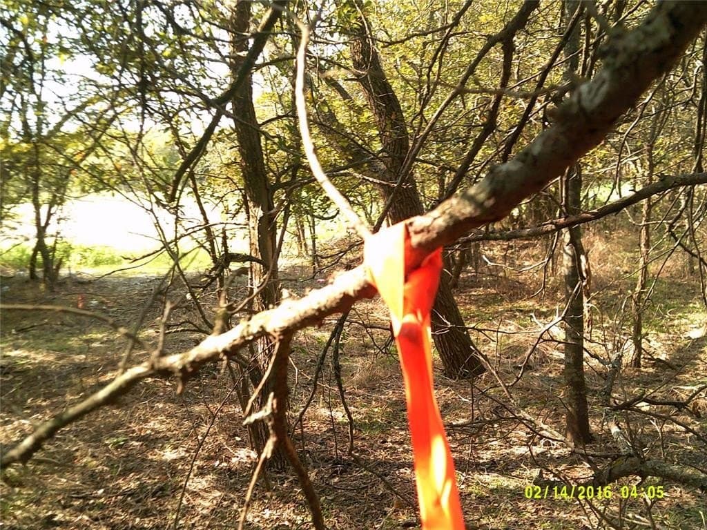 1.25 acres in Hunt County - photo 25