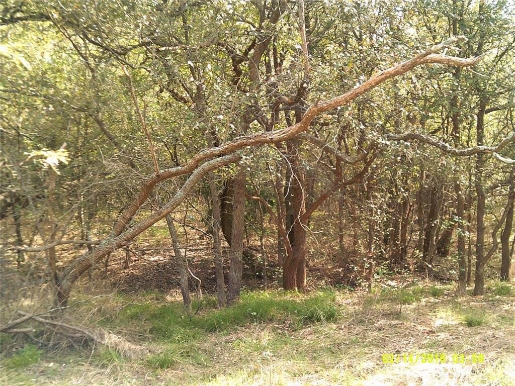 1.25 acres in Hunt County - photo 10