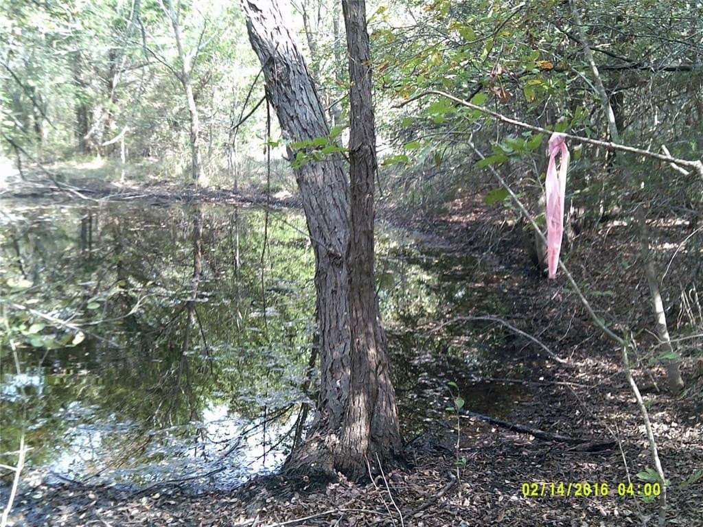 1.25 acres in Hunt County - photo 12