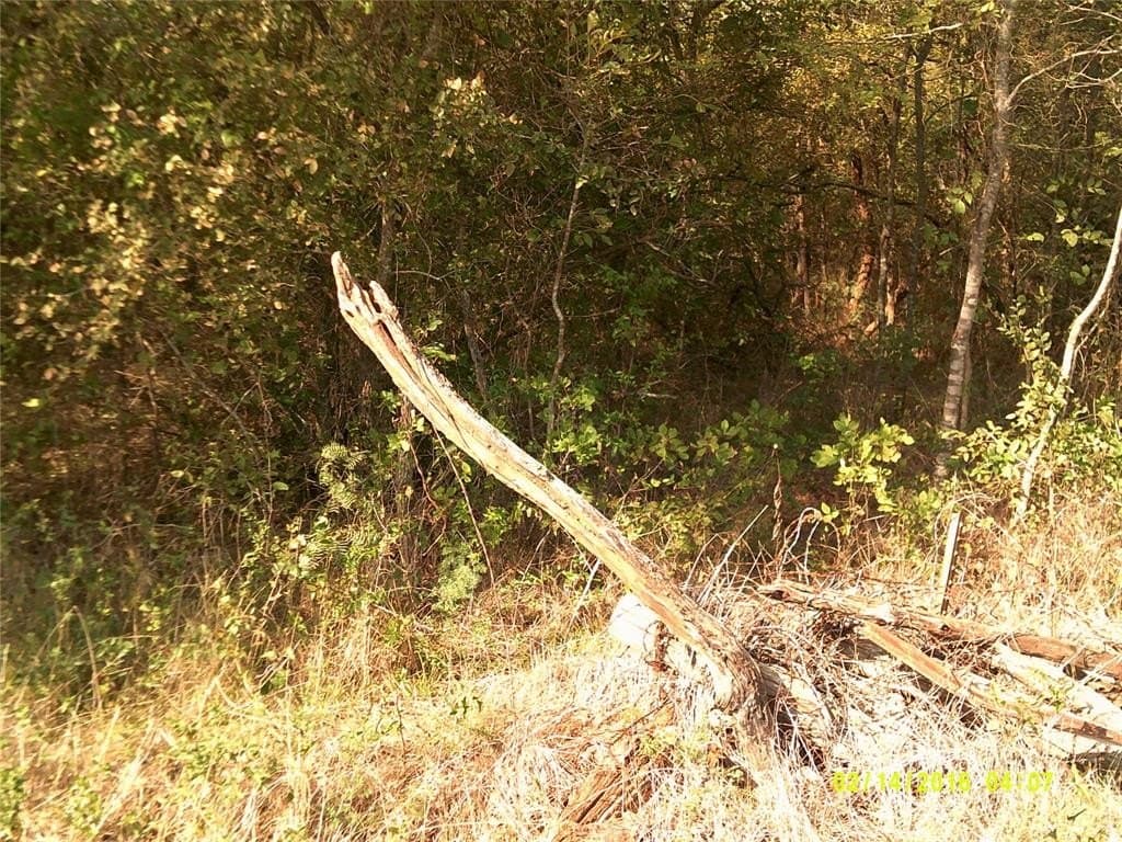 1.25 acres in Hunt County - photo 28