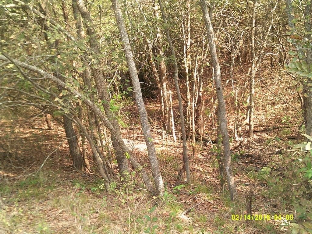 1.25 acres in Hunt County - photo 11