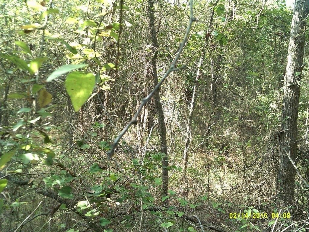 1.25 acres in Hunt County - photo 21