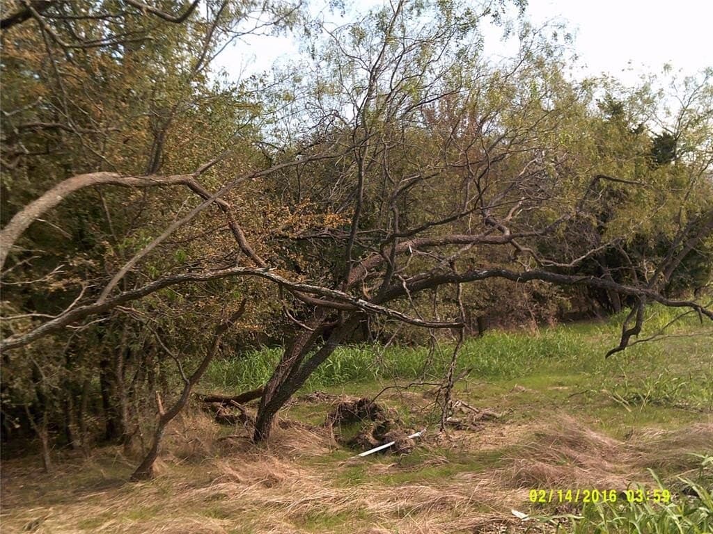 1.25 acres in Hunt County - photo 9