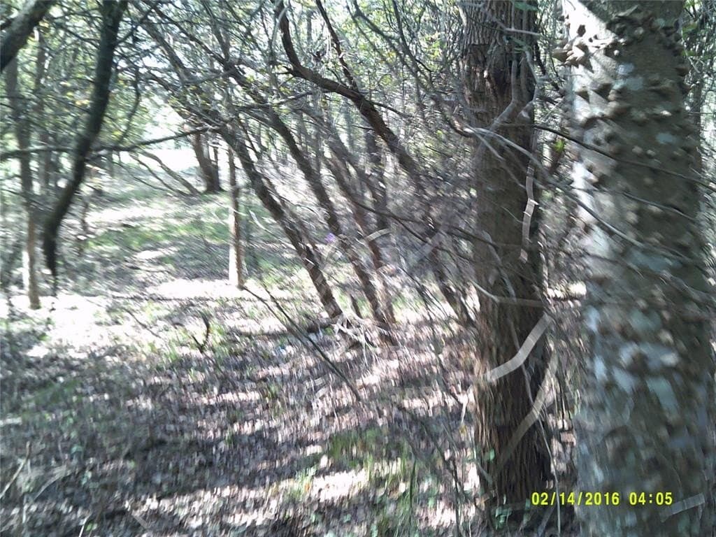 1.25 acres in Hunt County - photo 20