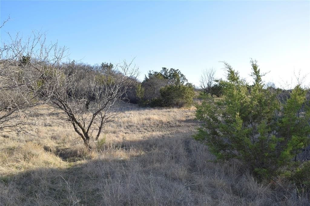 3.68 acres in Eastland County - photo 2