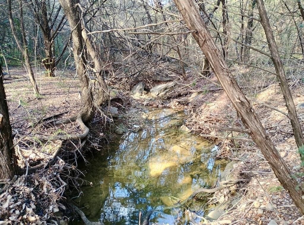 0.29 acres in Hood County - photo 2