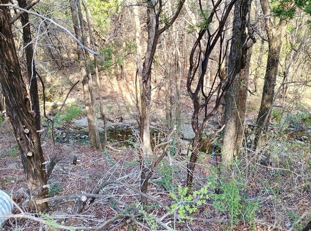 0.29 acres in Hood County - photo 3