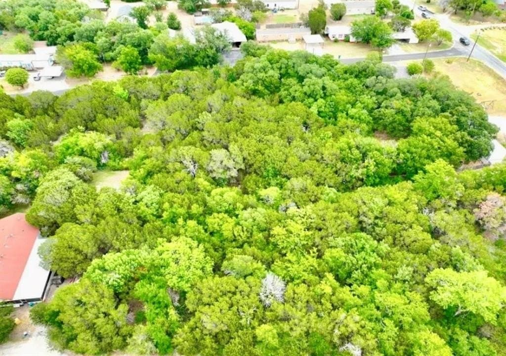 0.29 acres in Hood County - photo 8