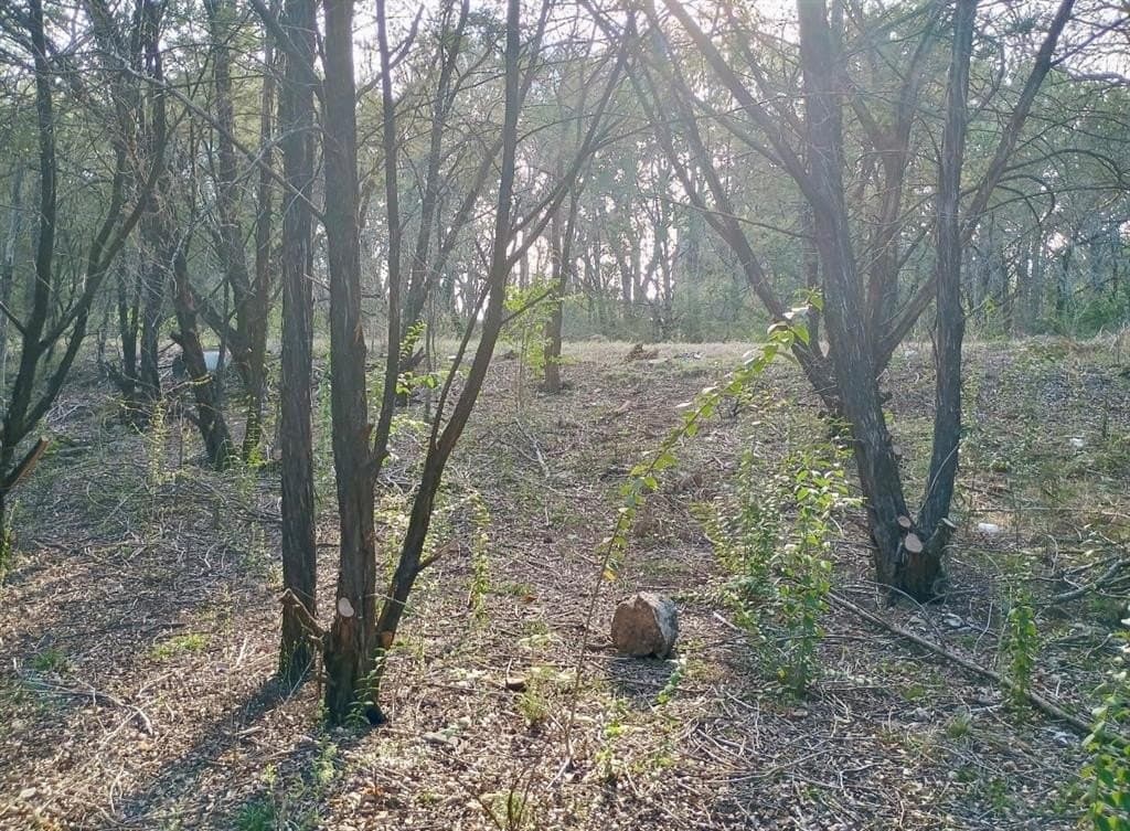 0.29 acres in Hood County - photo 4