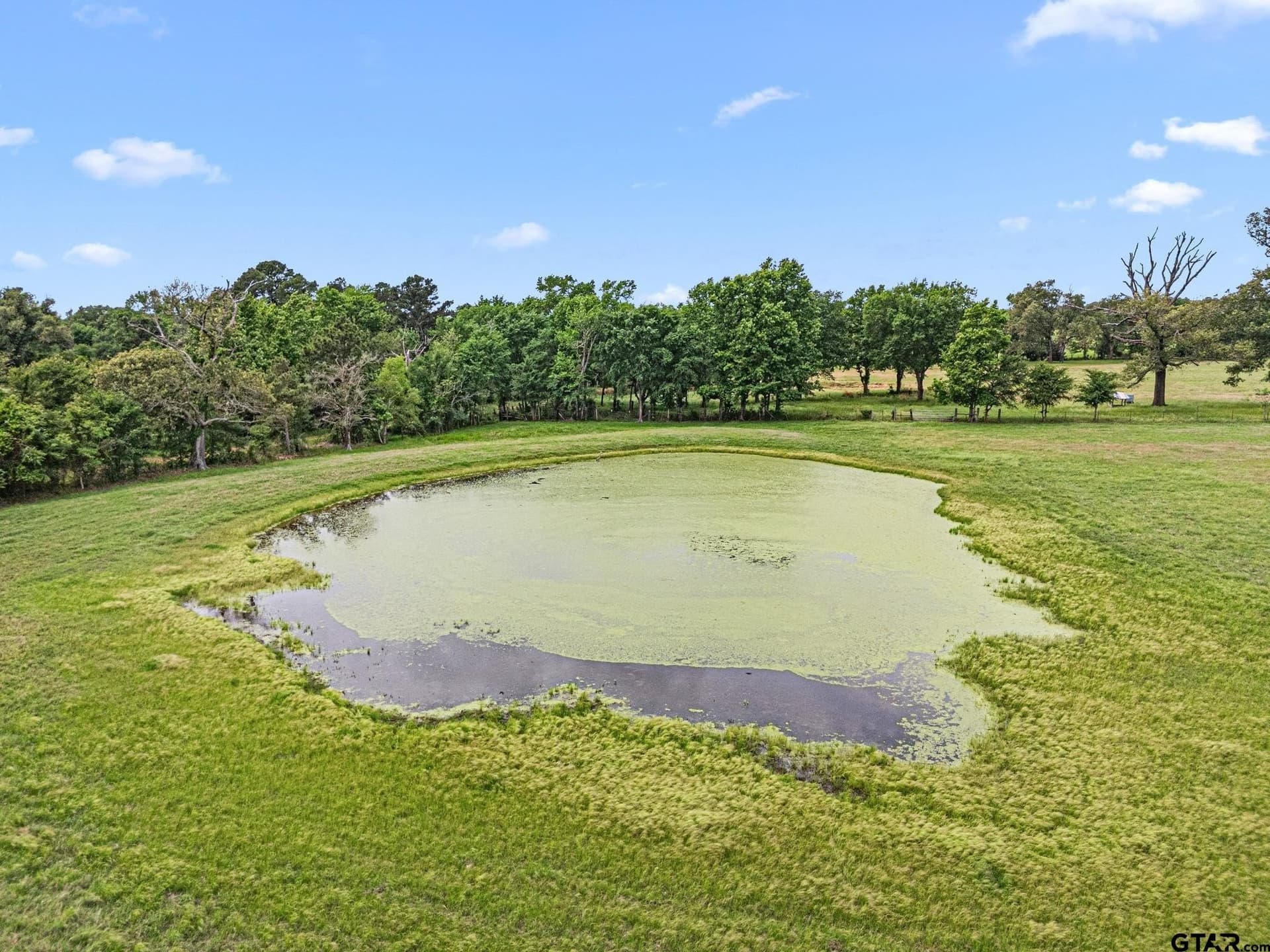 20 acres in Anderson County - photo 6
