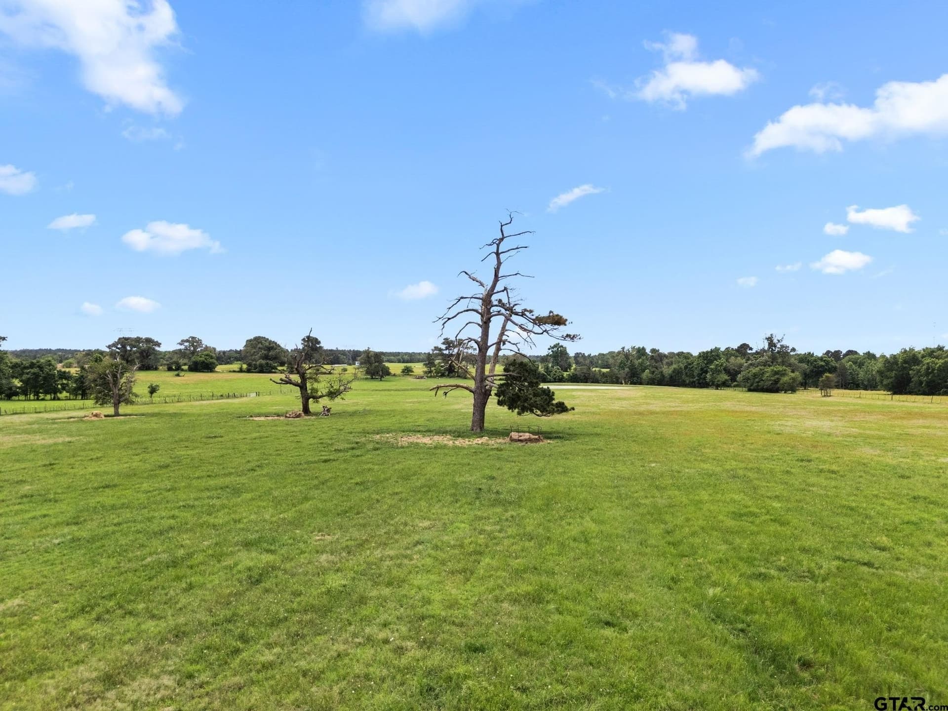 20 acres in Anderson County - photo 4