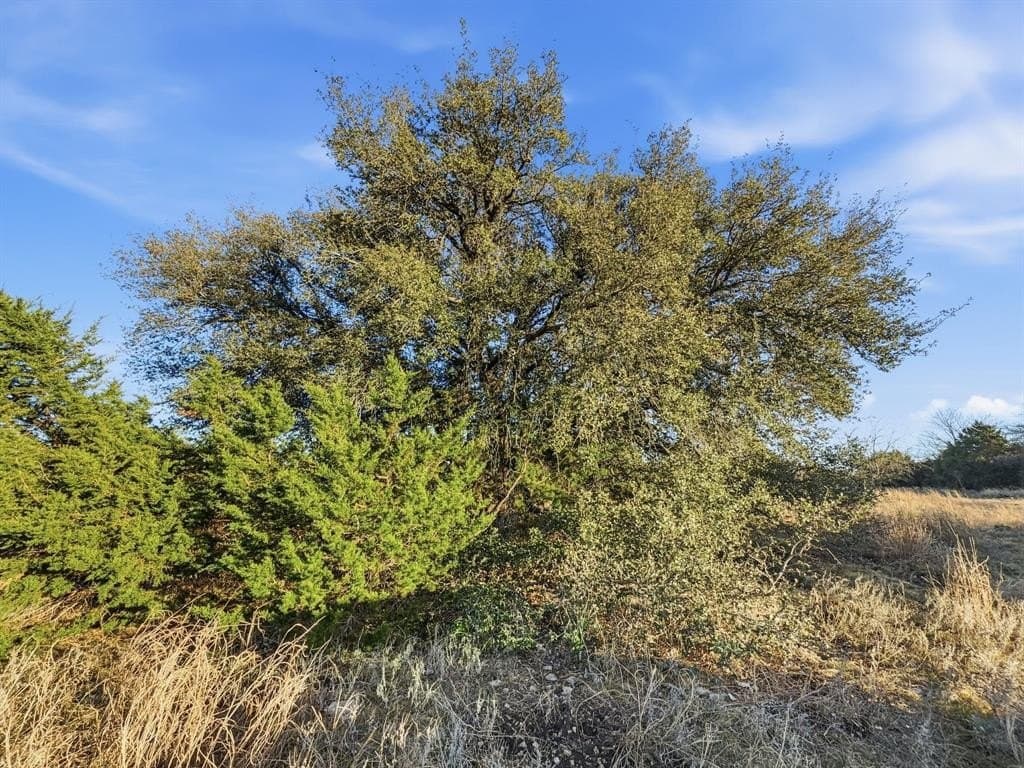 83.5 acres in Hamilton County - photo 33