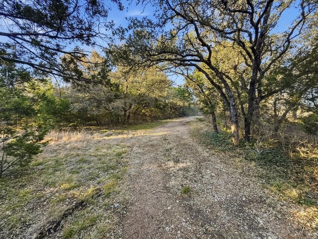 83.5 acres in Hamilton County - photo 24