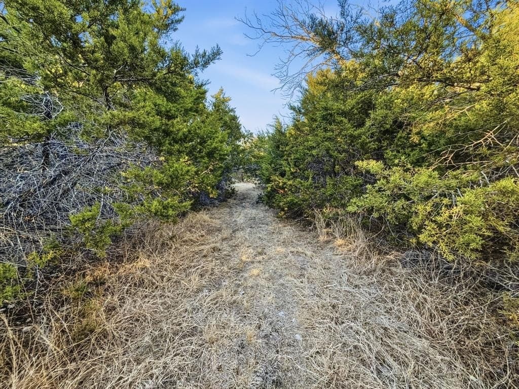 83.5 acres in Hamilton County - photo 30