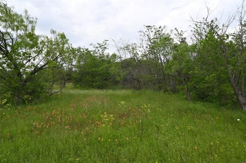 2.84 acres in Ellis County - photo 5