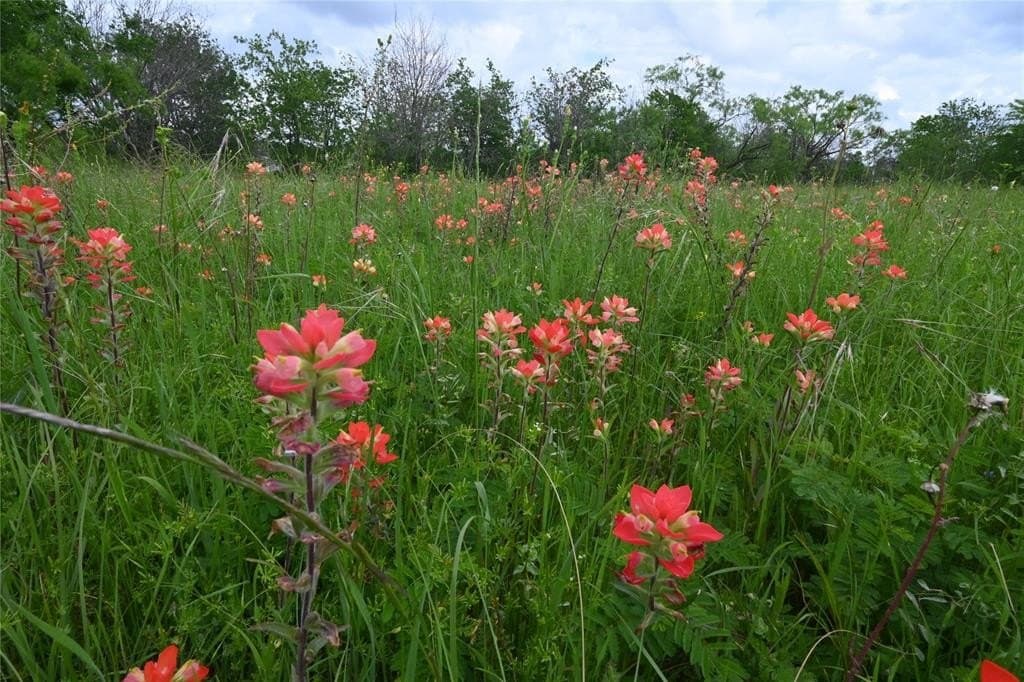 2.84 acres in Ellis County - photo 3