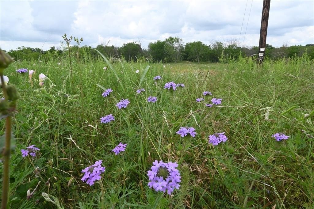 2.84 acres in Ellis County - photo 4