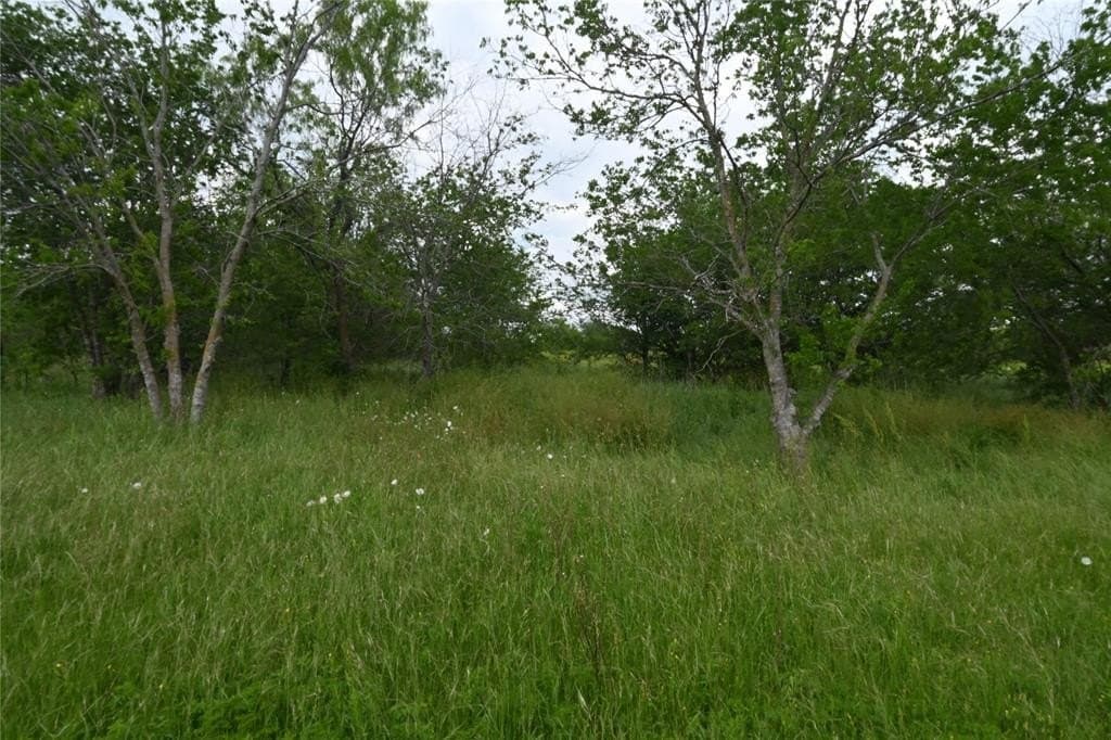 2.84 acres in Ellis County - photo 15