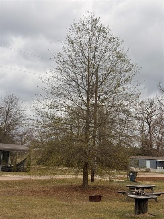 0.2 acres in Wood County - photo 9