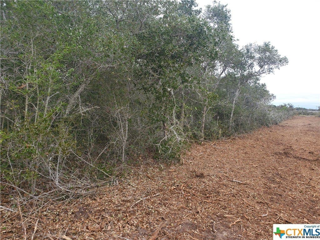 2 acres in Calhoun County - photo 5