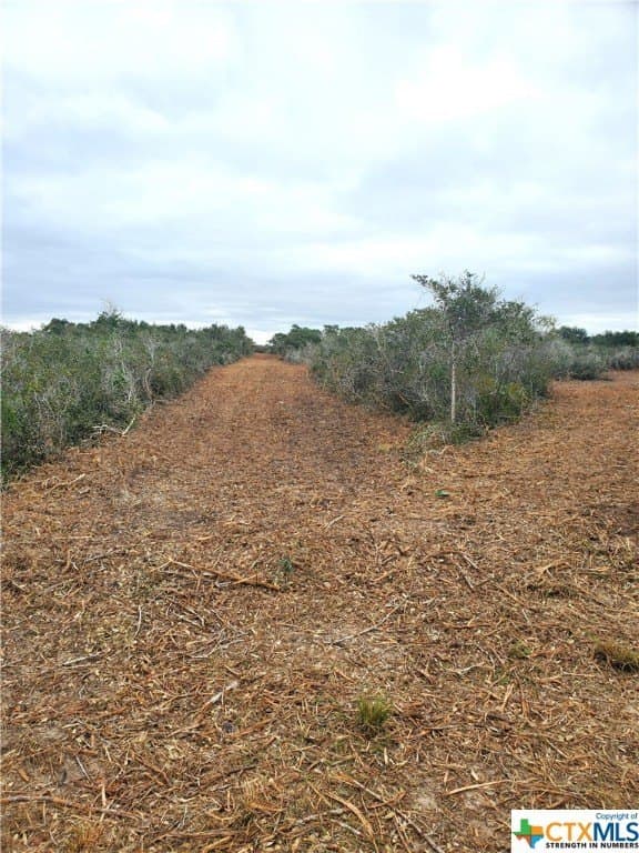 2 acres in Calhoun County - photo 4