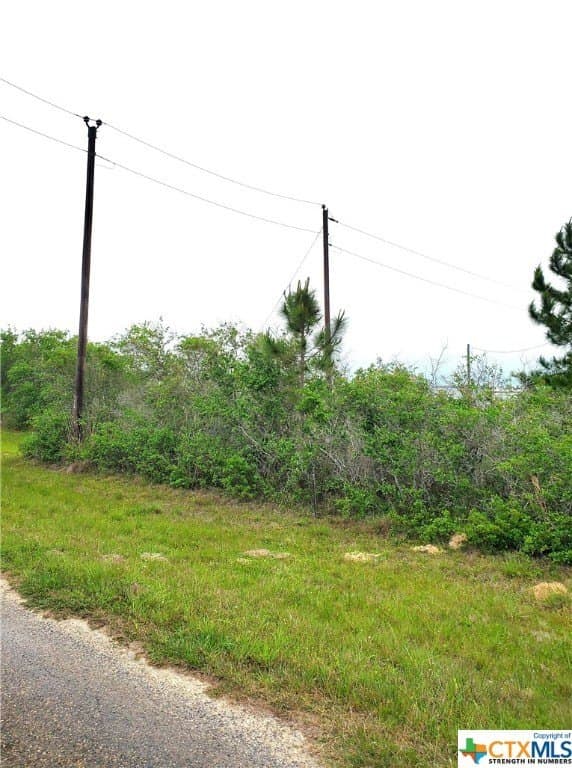 2 acres in Calhoun County - photo 2